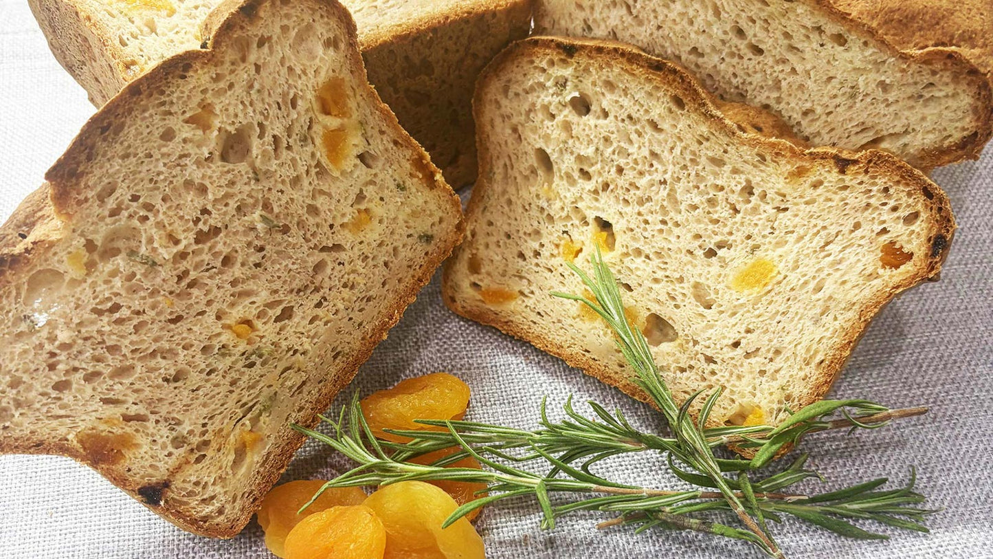 Slices of gluten-free bread with apricots and rosemary on a textured surface